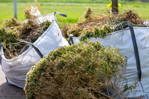 Commercial Cleanout Services in Edinburg, VA