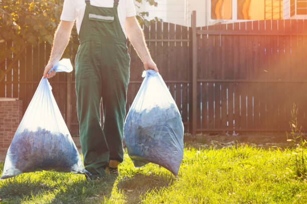 Best Construction Debris Removal  in Edinburg, VA