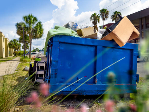 Best Same-Day Junk Removal  in Edinburg, VA