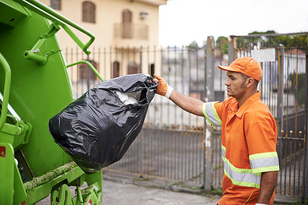 Debris Removal in Edinburg, VA